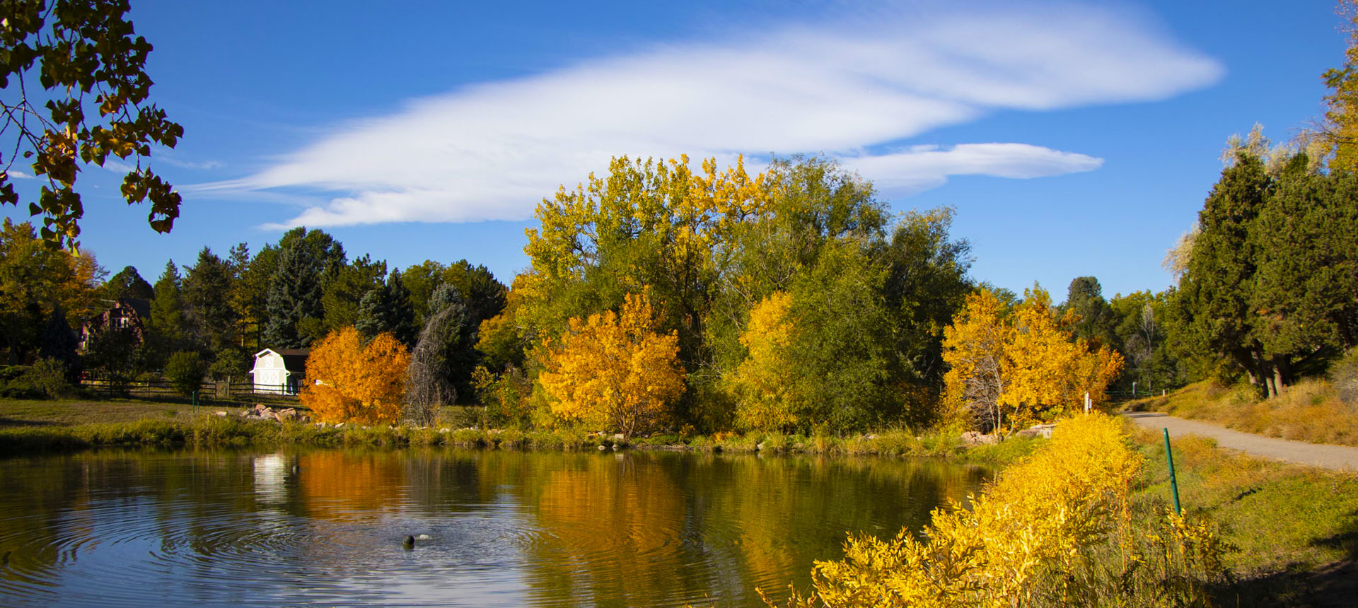 Fall at South Suburban